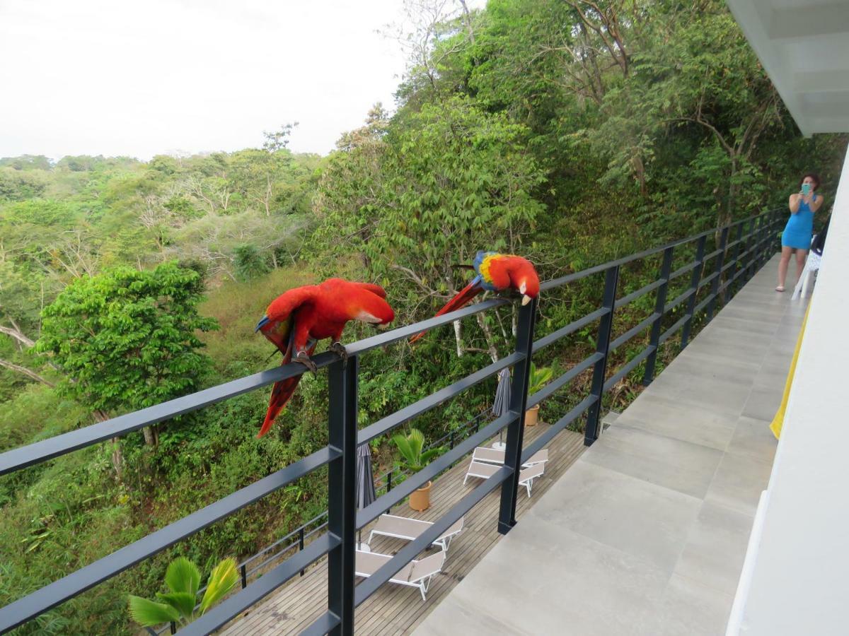 La Maison Blanche Manuel Antonio Eksteriør billede